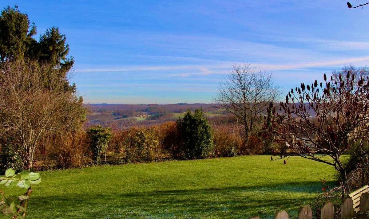 La Vieille Ferme: Superbe Complexe De 3 Gites En Pierre Avec Piscine Au Coeur Du Perigord Noir Saint-Genies Exterior foto
