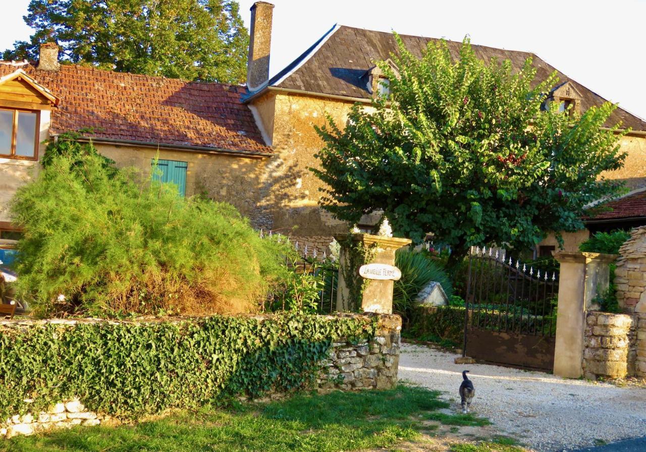 La Vieille Ferme: Superbe Complexe De 3 Gites En Pierre Avec Piscine Au Coeur Du Perigord Noir Saint-Genies Exterior foto